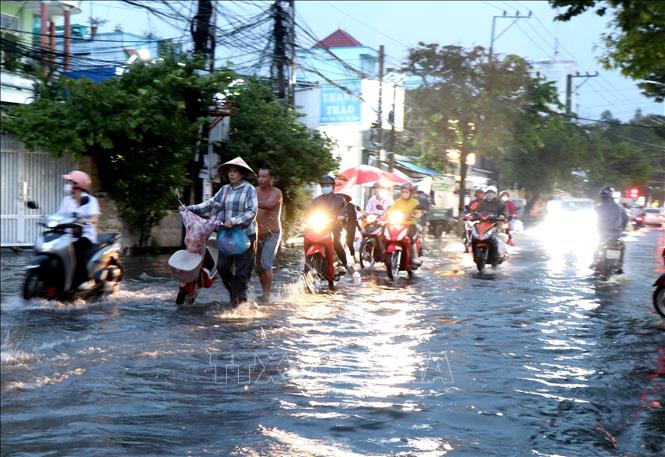 Mưa lớn kết hợp với triều cường gây ngập trên đường 2 tháng 9 ở Phường Long Châu, tỉnh Vĩnh Long. Ảnh: Lê Thúy Hằng – TTXVN 