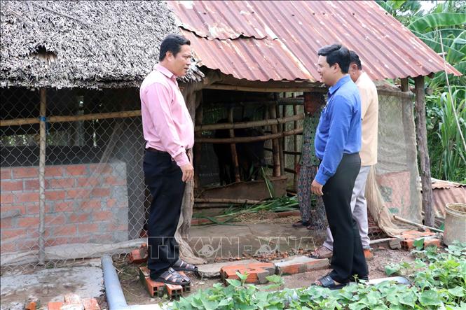 Cán bộ cơ sở kiểm tra, giám sát hiệu quả từ các mô hình hỗ trợ chăn nuôi bò sinh sản có nguồn vốn từ Chương trình mục tiêu Quốc gia về nghèo bền vững. Ảnh: Trung Kiên - TTXVN