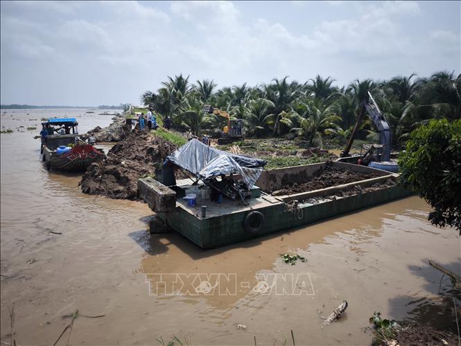 Phương tiện cơ giới đắp lại tuyến đê bao bị sạt lở . Ảnh: Huỳnh Phúc Hậu - TTXVN