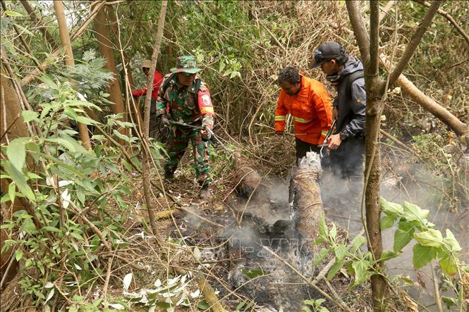 Lính cứu hỏa dập đám cháy rừng tại tỉnh Đông Java, Indonesia. Ảnh: THX/TTXVN phát