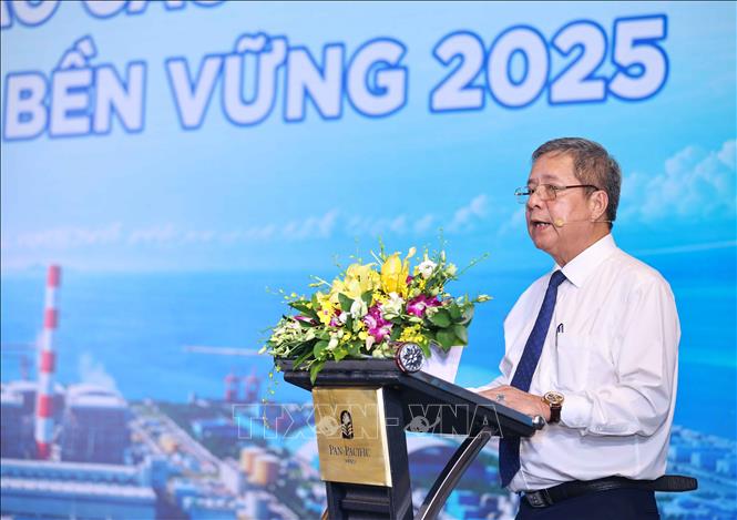 Ông Bùi Quốc Hùng, Phó Cục trưởng Cục Điện lực (Bộ Công Thương) phát biểu. Ảnh: Thanh Tùng - TTXVN