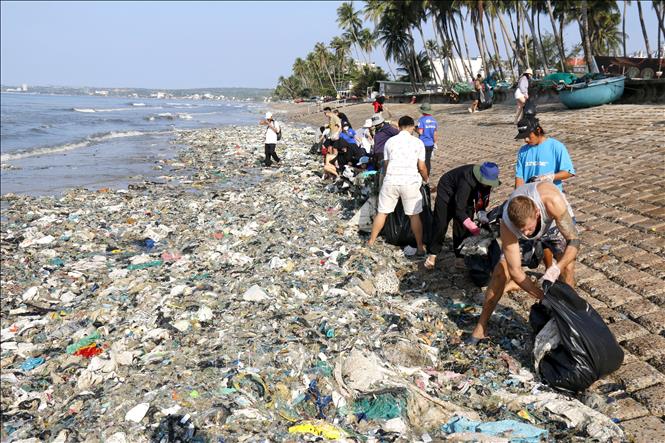 Hàng nghìn người dân, du khách trong và ngoài nước cùng tham gia dọn rác thải đại dương, trả lại vẻ đẹp cho biển Mũi Né (Lâm Đồng). Ảnh: Nguyễn Thanh - TTXVN