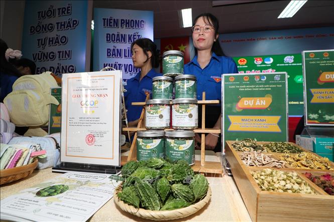 Các sản phẩm khởi nghiệp của thanh niên, sinh viên thể hiện tinh thần sáng tạo, ý chí tự thân lập nghiệp. Ảnh: Hồng Thái - TTXVN