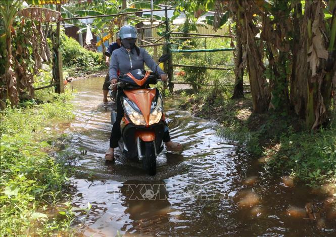 Việc đi lại, vận chuyển hàng hóa, nông sản gặp nhiều khó khăn do ngập lũ. Ảnh: Duy Khương – TTXVN