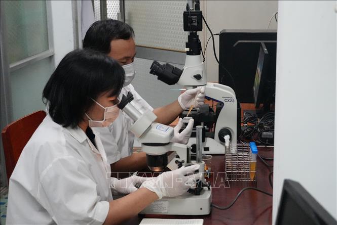 Chuyên gia các lĩnh vực khoa học biển, công nghệ biển, kinh tế biển thực hiện nhiệm vụ tại phòng thí nghiệm ở Khánh Hòa. Ảnh: Phan Sáu - TTXVN