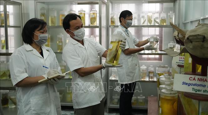 Nghiên cứu khoa học biển ở Viện Khoa học Thủy sản Việt Nam. Ảnh: Phan Sáu - TTXVN