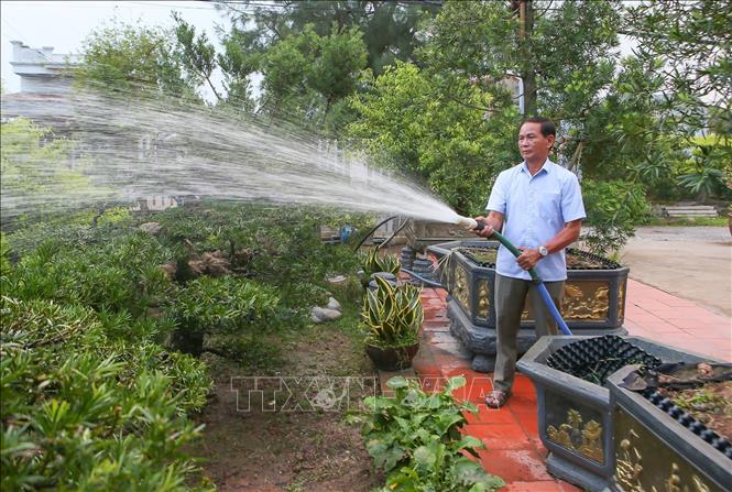 Ông Đỗ Thanh Hiên tại xã Vị Khê (Ninh Bình) đã biến nghề truyền thống trồng hoa, cây cảnh thành hướng phát triển kinh tế. Với vai trò người cao tuổi có uy tín, ông Hiên luôn gương mẫu, đi đầu trong các phong trào tại địa phương; tích cực vận động nhân dân hiến đất làm đường, chung sức xây dựng nông thôn mới, đồng thời hỗ trợ hội viên người cao tuổi phát triển kinh tế, nâng cao đời sống. Ảnh: Công Luật - TTXVN