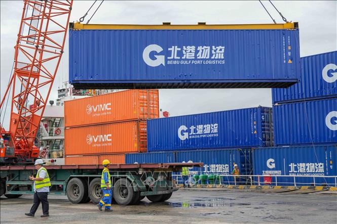 Hoạt động khai thác tàu container tại Cảng Cái Cui mở rộng phương thức vận chuyển hàng hóa, tạo thêm lựa chọn kết nối thị trường cho doanh nghiệp vùng Đồng bằng sông Cửu Long. Ảnh: Thanh Liêm - TTXVN