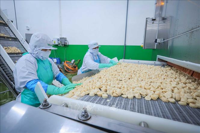 Sự gia tăng của các doanh nghiệp, nhà máy, cơ sở sản xuất tạo thêm nhiều việc làm, thu hút lao động từ khu vực nông thôn vào các ngành nghề có thu nhập và điều kiện làm việc ổn định, góp phần nâng cao thu nhập, cải thiện đời sống người dân, đồng thời đáp ứng nhu cầu nhân lực cho quá trình công nghiệp hóa, hiện đại hóa và phát triển kinh tế - xã hội của thành phố. Ảnh: Hoàng Hiếu - TTXVN