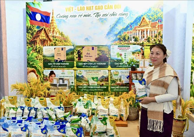 Gian trưng bày sản phẩm gạo đến từ Lào. Ảnh: TTXVN phát