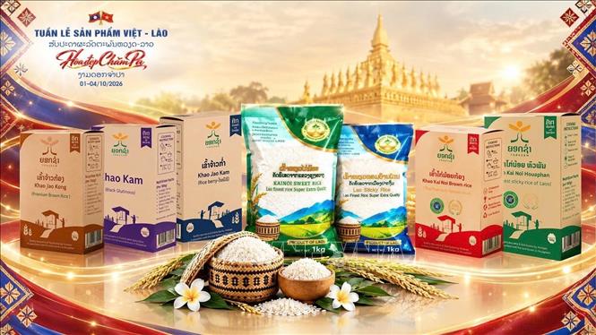 Sản phẩm nông sản đến từ Lào. Ảnh: TTXVN phát