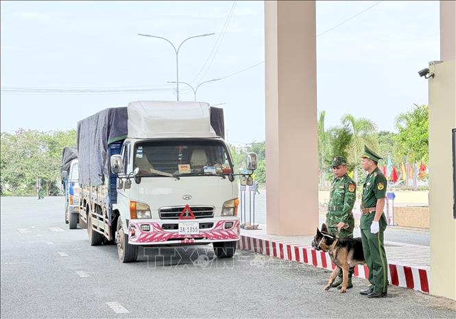 Phương tiện chở hàng hoá làm thủ tục nhập cảnh vào Việt Nam qua Cửa khẩu Quốc tế đường bộ Khánh Bình, tỉnh An Giang. Ảnh: Thanh Sang - TTXVN