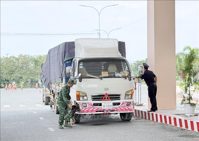 Phương tiện làm thủ tục nhập cảnh vào Việt Nam qua Cửa khẩu Quốc tế đường bộ Khánh Bình, tỉnh An Giang. Ảnh: Thanh Sang - TTXVN