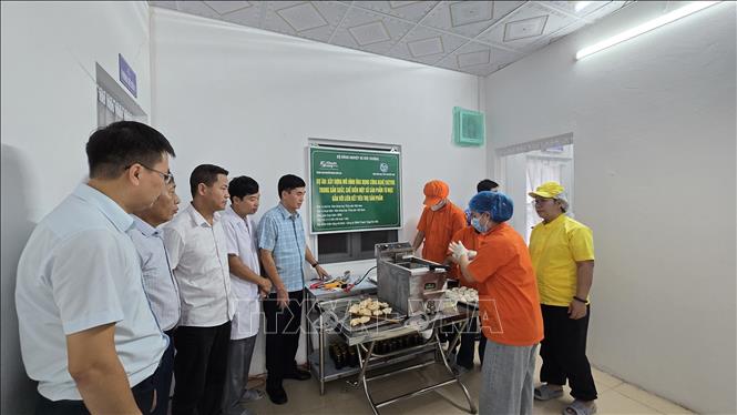 Sản phẩm chả mực ứng dụng công nghệ enzyme hoàn thiện, phát huy tính ưu việt về chất lượng để thương mại hóa rộng rãi trên thị trường. Ảnh: Thanh Vân - TTXVN  