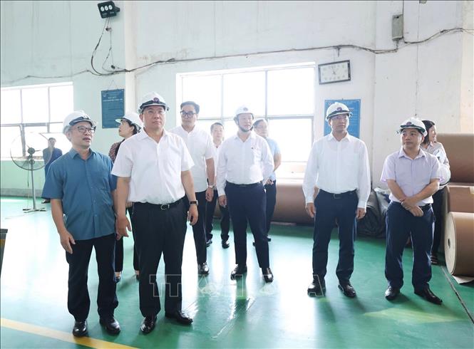 Chủ tịch UBND tỉnh Phú Thọ Trần Duy Đông cùng lãnh đạo các sở, ban, ngành khảo sát thực tế tại Nhà máy Giấy Việt Trì thuộc Công ty Cổ phần Giấy Việt Trì. Ảnh: Thu Hương - TTXVN