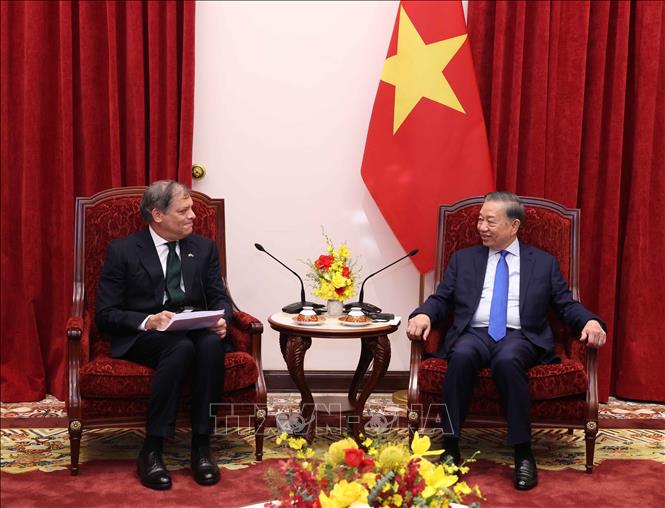 Tổng Bí thư, Chủ tịch nước Tô Lâm tiếp Đại sứ Brazil Marcelo Paz Saraiva Camara. Ảnh: Thống Nhất – TTXVN