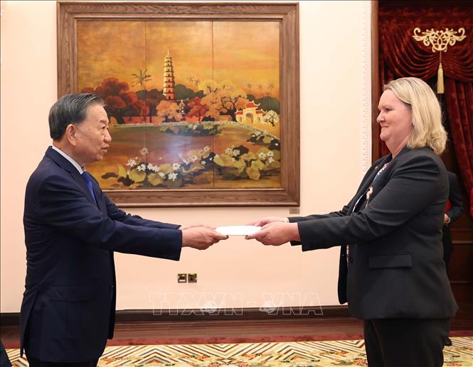 Tổng Bí thư, Chủ tịch nước Tô Lâm tiếp Đại sứ Vương quốc Đan Mạch Lina Gandløse Hansen. Ảnh: Thống Nhất – TTXVN