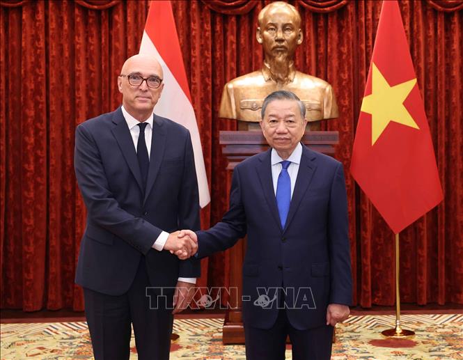 Tổng Bí thư, Chủ tịch nước Tô Lâm tiếp Đại sứ Vương quốc Hà Lan Remco van Wijngaarden. Ảnh: Thống Nhất – TTXVN
