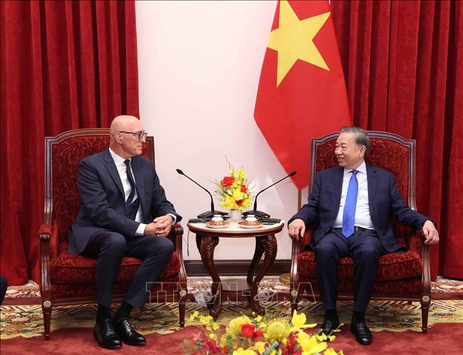 Tổng Bí thư, Chủ tịch nước Tô Lâm tiếp Đại sứ Vương quốc Hà Lan Remco van Wijngaarden. Ảnh: Thống Nhất – TTXVN