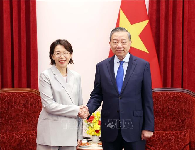 Tổng Bí thư, Chủ tịch nước Tô Lâm tiếp Đại sứ Hàn Quốc Lee Mi Yon. Ảnh: Thống Nhất – TTXVN