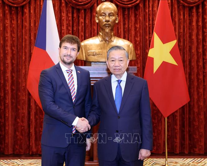 Tổng Bí thư, Chủ tịch nước Tô Lâm tiếp Đại sứ Cộng hòa Séc Lukáš Kaucký. Ảnh: Thống Nhất – TTXVN