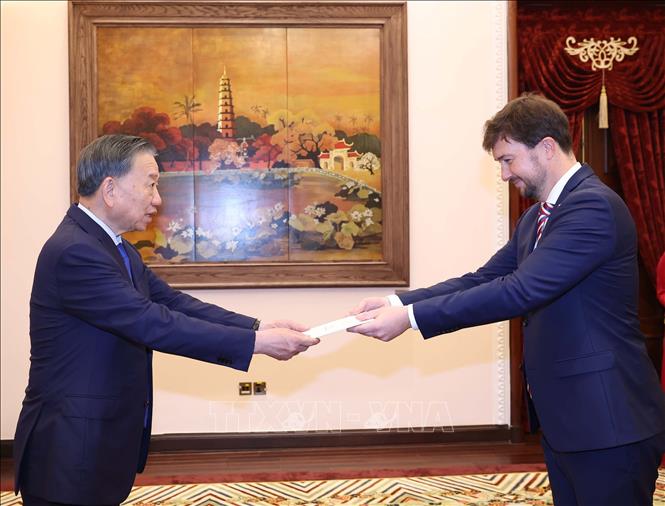 Tổng Bí thư, Chủ tịch nước Tô Lâm tiếp Đại sứ Cộng hòa Séc Lukáš Kaucký. Ảnh: Thống Nhất – TTXVN