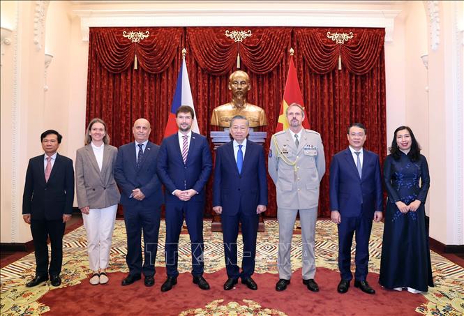 Tổng Bí thư, Chủ tịch nước Tô Lâm tiếp Đại sứ Cộng hòa Séc Lukáš Kaucký. Ảnh: Thống Nhất – TTXVN