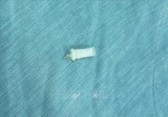 Dị vật là chiếc kèn nhựa mắc trong đường thở của bệnh nhi được lấy ra ngoài. Ảnh: Lê Xuân-TTXVN