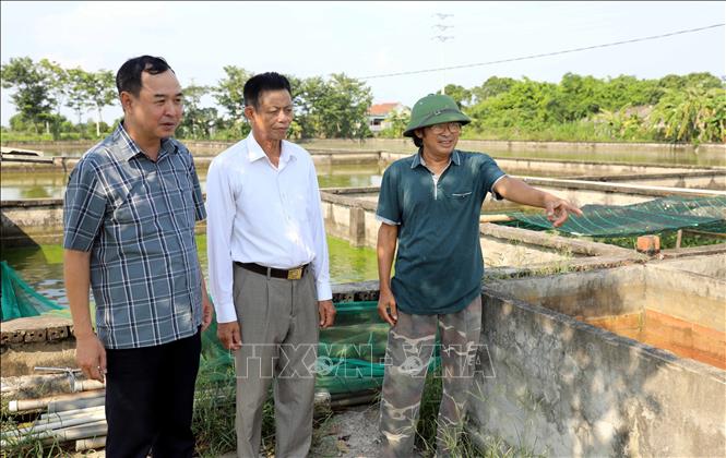 Ông Bùi Thọ Thính (ngoài cùng, bên phải, thôn 21, xã Đông Hưng, tỉnh Hưng Yên) là một trong những hộ nông dân tiêu biểu vươn lên làm giàu từ nguồn vốn tín dụng chính sách. Ảnh: Thu Hoài - TTXVN