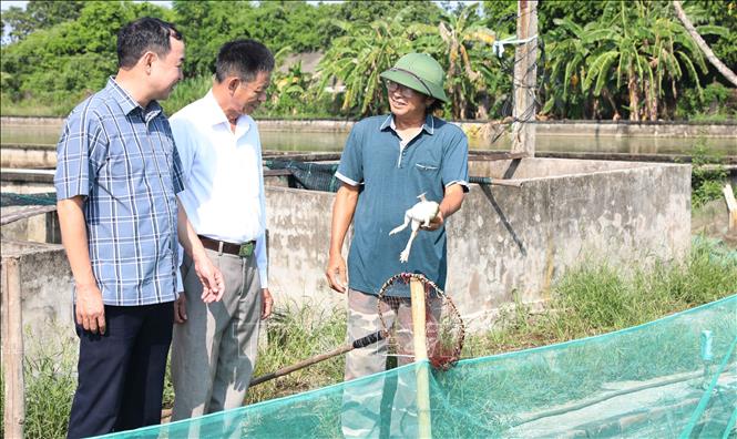 Tỉnh Hưng Yên phấn đấu đến năm 2030 tổng nguồn vốn tín dụng chính sách xã hội đạt khoảng 17.800 tỷ đồng; tập trung nguồn lực vào các chương trình mang tính chiến lược và an sinh bền vững như cho vay nhà ở xã hội, giải quyết việc làm và hỗ trợ người dân thoát nghèo. Ảnh: Thu Hoài - TTXVN