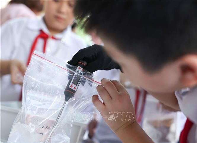 Trạm thứ ba tập trung vào thực nghiệm khoa học với hoạt động “Làm kem không cần tủ đông”, theo dõi sự thay đổi nhiệt độ theo thời gian và thử thách thiết kế giải pháp “Giữ kem lâu tan”. Qua đó, các em được trực tiếp lựa chọn vật liệu, tiến hành thử nghiệm, ghi nhận số liệu, đánh giá kết quả và điều chỉnh phương án. Ảnh: Thanh Tùng - TTXVN