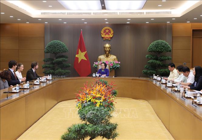 Phó Thủ tướng Phạm Thị Thanh Trà tiếp ông Cesar Louis-Philip Marseille, Giám đốc điều hành Công ty VAMED Engineering GmbH. Ảnh: Lâm Khánh - TTXVN