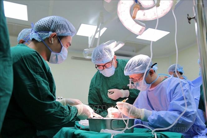 Ngày 8/9/2024, Bệnh viện Đa khoa Đức Giang (Hà Nội) chính thức ghi tên mình trên bản đồ ghép tạng Việt Nam bằng việc thực hiện thành công ca ghép thận đầu tiên cho một bệnh nhân nữ ở Tuyên Quang. Ảnh: Minh Quyết - TTXVN