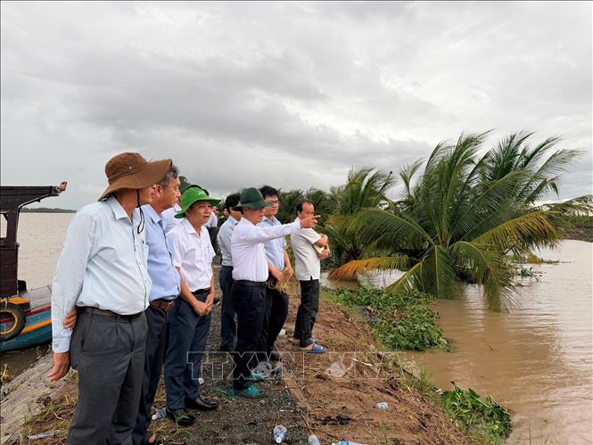Kiểm tra khu vực đê bao cồn Cái Gà, xã Chợ Lách. Ảnh: Huỳnh Phúc Hậu - TTXVN
