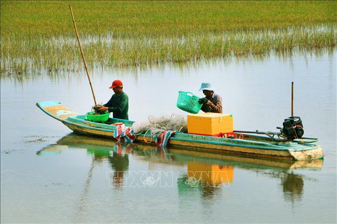 Lũ có thể gây ra những thách thức lớn, nhưng nếu được nhìn nhận đúng, mùa nước nổi cũng có thể trở thành một phần lời giải bài toán sinh kế và phát triển bền vững cho Cần Thơ. Ảnh: Duy Khương – TTXVN
