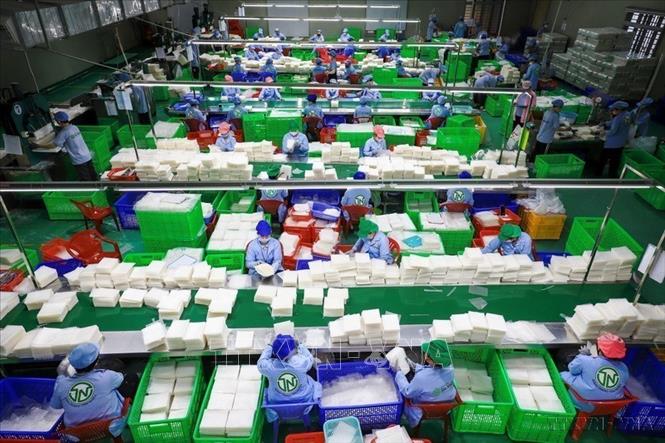 Từ đặc sản truyền thống Tây Ninh, bánh tráng siêu mỏng của Công ty TNHH Tân Nhiên đã được nâng tầm thành sản phẩm OCOP 5 sao cấp quốc gia, sản xuất theo tiêu chuẩn quốc tế FSSC 22000, xuất khẩu sang Hàn Quốc, Đài Loan (Trung Quốc), Mỹ, Australia, Nhật Bản và Thái Lan. Ảnh: Thanh Tân – TTXVN