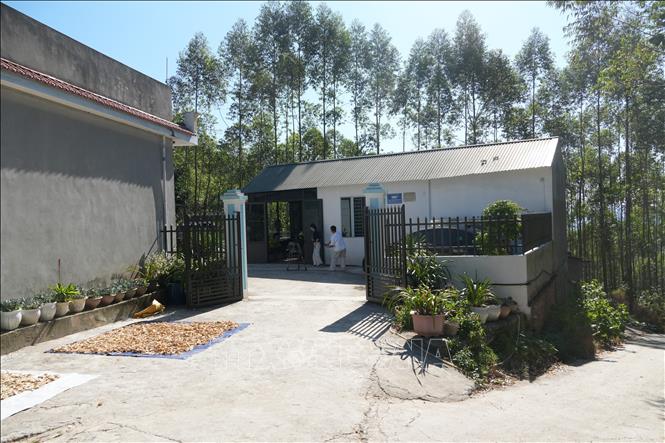 Hợp tác xã Nông trang sinh thái Mẫu Sơn, một cơ sở chế biến chanh rừng. Ảnh: Tiến Vĩnh – TTXVN
