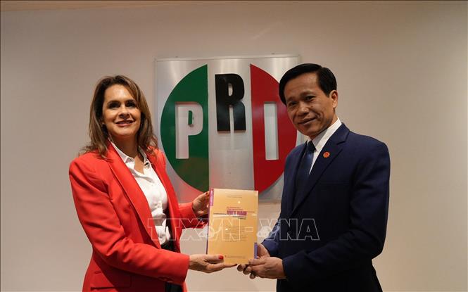Phó Giám đốc Học viện Chính trị quốc gia Hồ Chí Minh Hoàng Phúc Lâm tặng cuốn sách “Khát vọng Việt Nam hùng cường trong kỷ nguyên mới’’ cho bà Sofia Carvajal, Chủ nhiệm Ủy ban Đối ngoại Đảng Cách mạng Thể chế (PRI). Ảnh: Phi Hùng - PV TTXVN tại Mexico