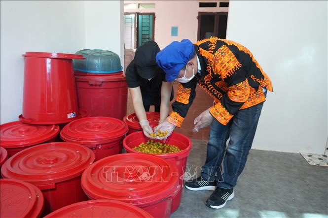 Hợp tác xã kiểm tra chất lượng quả chanh rừng sau thời gian ngâm ủ. Ảnh: Tiến Vĩnh –TTXVN