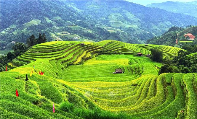 Sắc lúa vàng xanh đan xen, dệt nên bức tranh thu nơi miền núi. Ảnh: Minh Tâm-TTXVN