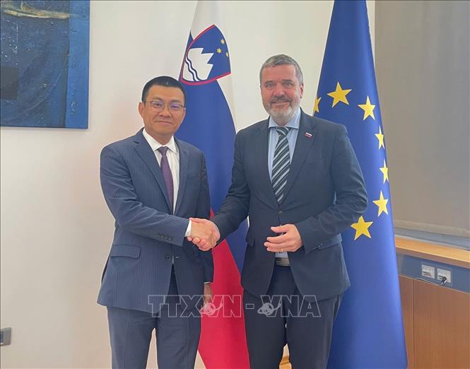 Đại sứ Việt Nam tại Áo kiêm nhiệm Slovenia Vũ Lê Thái Hoàng chào xã giao và làm việc với Bộ trưởng Ngoại giao Slovenia Tone Kajzer. Ảnh: TTXVN phát