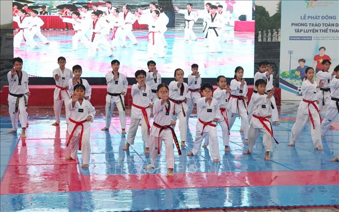 Biểu diễn võ thuật truyền cảm hứng tại sự kiện. Ảnh: Đức Phương - TTXVN