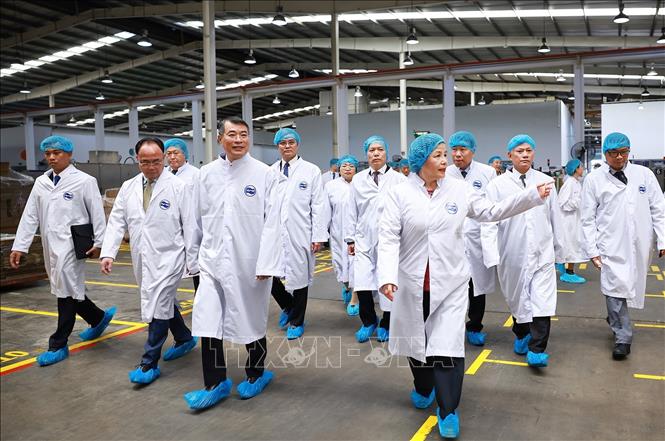 Thủ tướng Lê Minh Hưng đến thăm Công ty sữa Angkor Milk tại Campuchia. Ảnh: Dương Giang – TTXVN
