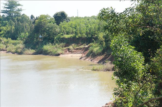 Sạt lở bờ sông Thạch Hãn tại khu phố Như Lệ, phường Quảng Trị. Ảnh: Tường Vi - TTXVN 