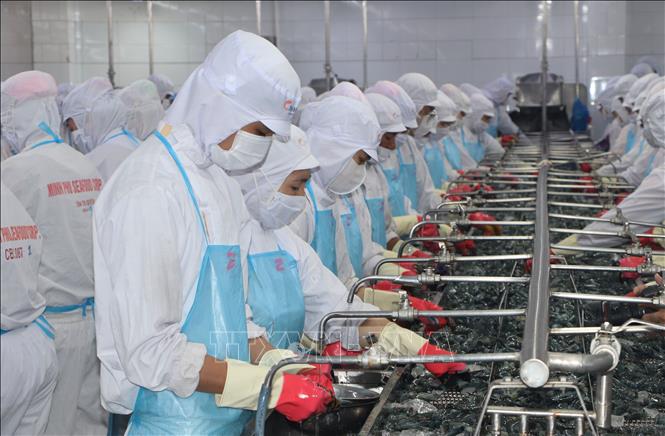 Nhà máy thủy sản Minh Phú - Khánh vừa mới đưa vào hoạt động tại Khu công nghiệp Khánh An. Ảnh: Tuấn Phi - TTXVN