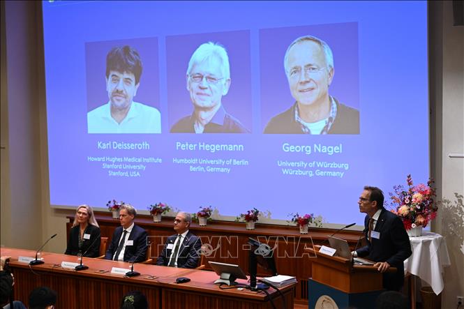Mùa Nobel 2026 đang diễn ra theo đúng truyền thống, mở màn với giải Nobel Y sinh và lần lượt đến Nobel Vật lý, Hoá học, Văn học, Kinh tế và Hoà bình. Ảnh: Giải Nobel Y sinh vinh danh ba nhà khoa học Karl Deisseroth của Mỹ, Peter Hegemann và Georg Nagel của Đức với những phát hiện liên quan đến công nghệ quang di truyền học. THX/TTXVN phát