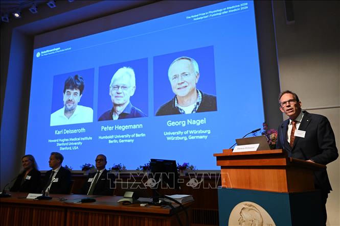 Mùa Nobel 2026 đang diễn ra theo đúng truyền thống, mở màn với giải Nobel Y sinh và lần lượt đến Nobel Vật lý, Hoá học, Văn học, Kinh tế và Hoà bình. Ảnh: Giải Nobel Y sinh vinh danh ba nhà khoa học Karl Deisseroth của Mỹ, Peter Hegemann và Georg Nagel của Đức với những phát hiện liên quan đến công nghệ quang di truyền học. THX/TTXVN phát
