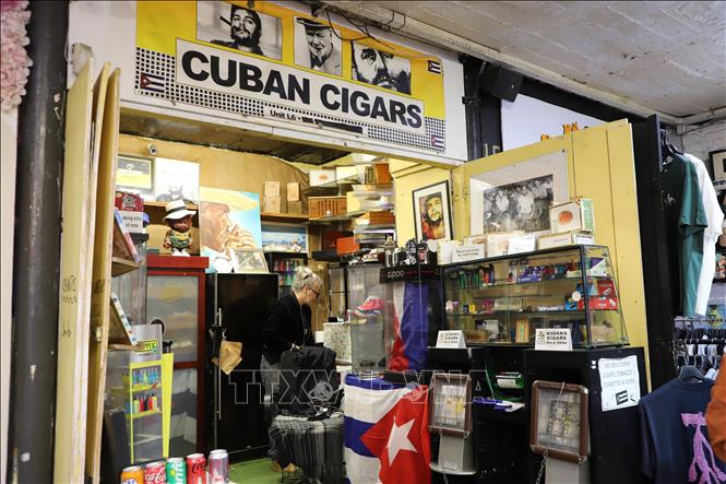 Quầy hàng bán cigar Cuba.Ảnh: Hữu Tiến - PV TTXVN tại Anh
