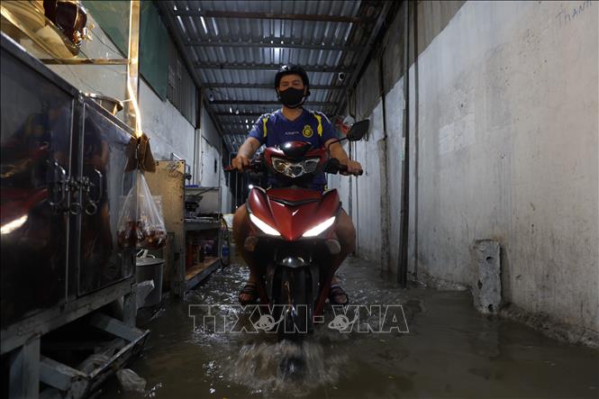 Xe máy di chuyển trong hẻm 92 đường Phạm Hữu Lầu, phường Tân Mỹ, ngập sâu do triều cường tối 11/10. Ảnh: Hồng Đạt - TTXVN