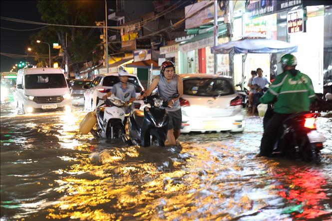 Xe chết máy trên đường Phạm Hữu Lầu, phường Tân Mỹ, ngập sâu do triều cường tối 11/10. Ảnh: Hồng Đạt - TTXVN